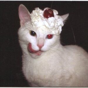 Meet your Posher, Grace